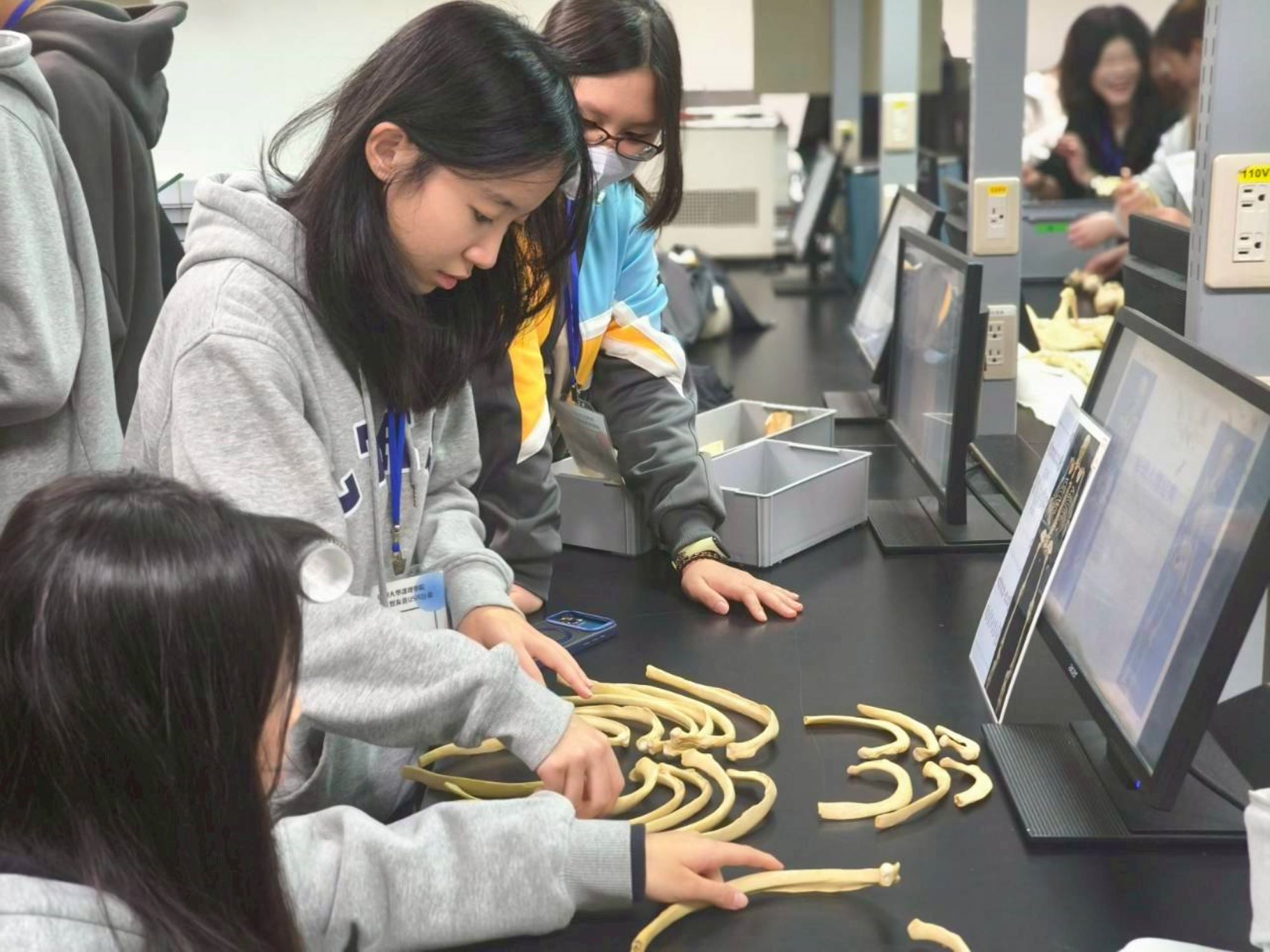 高中生參與人骨拼圖體驗，深度探索人體解構奧秘。